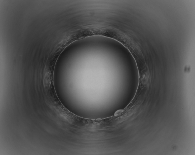 X0000096650772200802051154