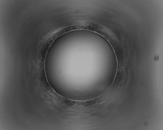 X0000096650773200802051154