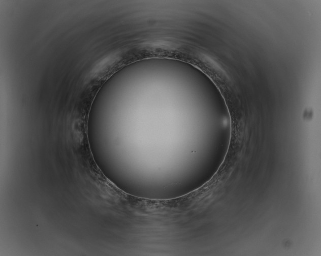 X0000096650774200802051154