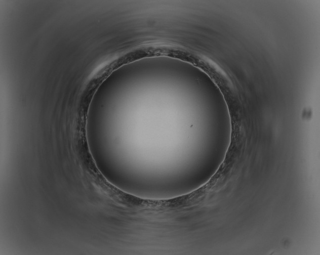X0000096650775200802051154