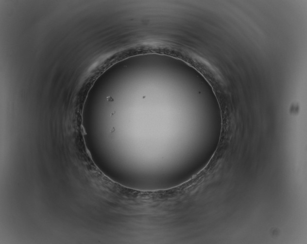 X0000096650776200802051154
