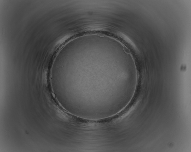 X0000096650777200802051154