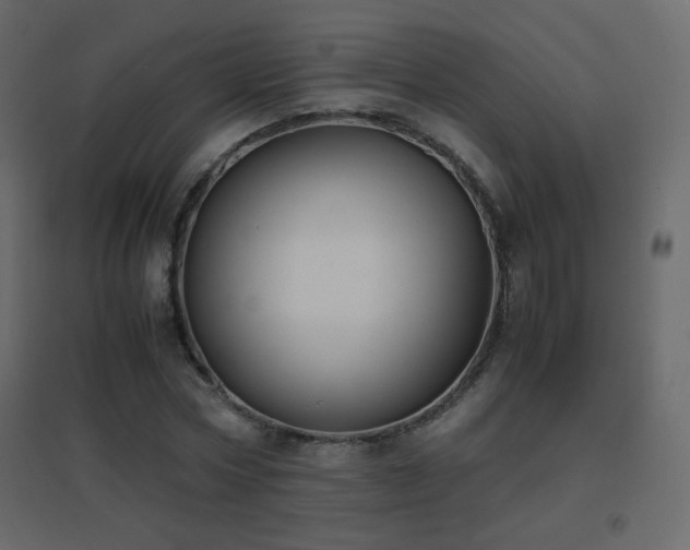 X0000096650778200802051154