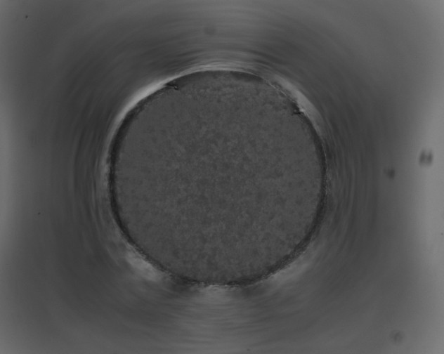 X0000096650779200802051154