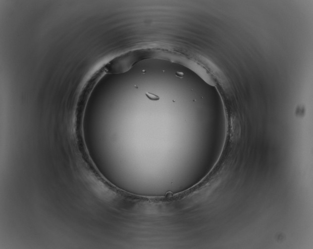 X0000096650780200802051154