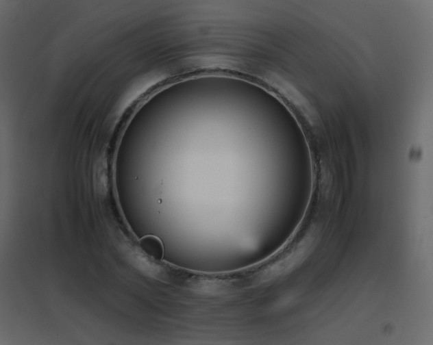 X0000096650782200802051154
