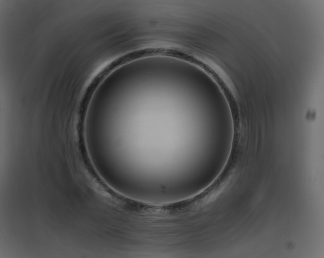 X0000096650783200802051154