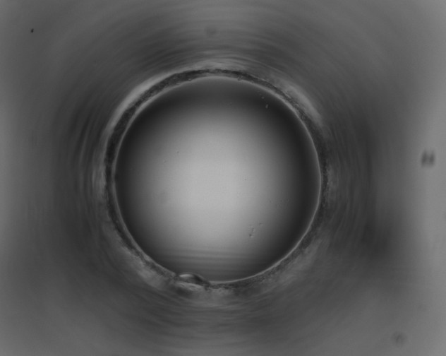 X0000096650784200802051153