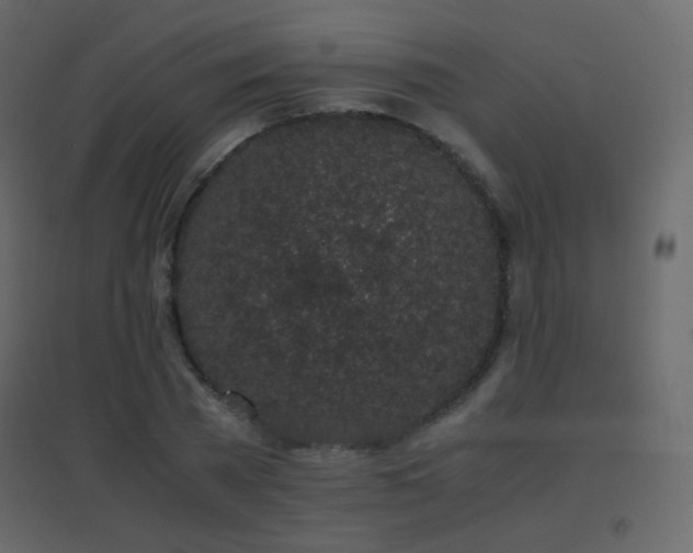 X0000096650785200802051153