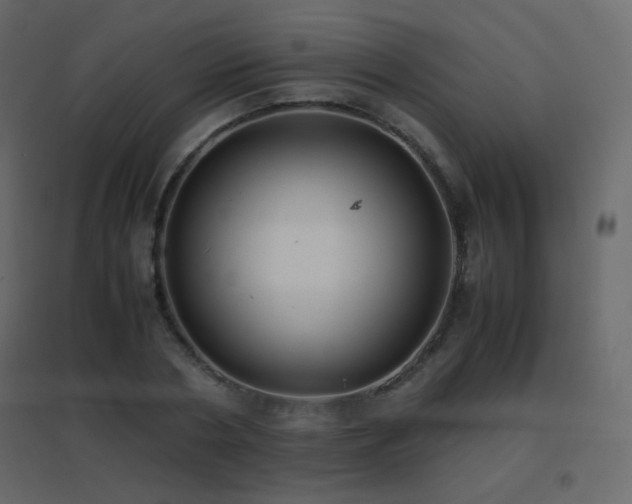 X0000096650786200802051153