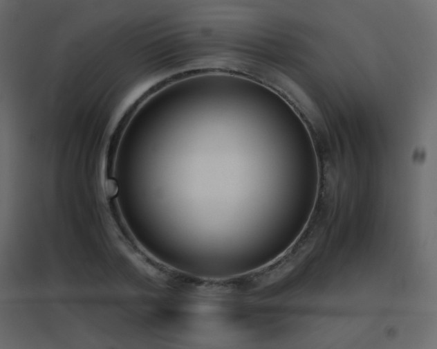 X0000096650788200802051153