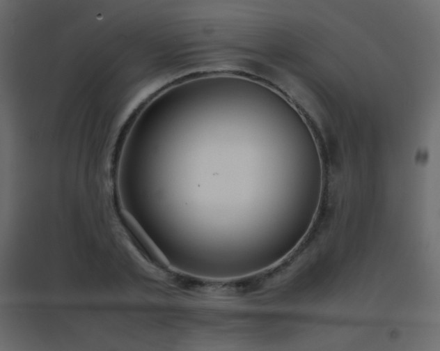 X0000096650789200802051153