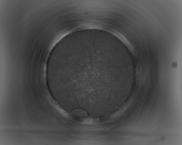 X0000096650790200802051153