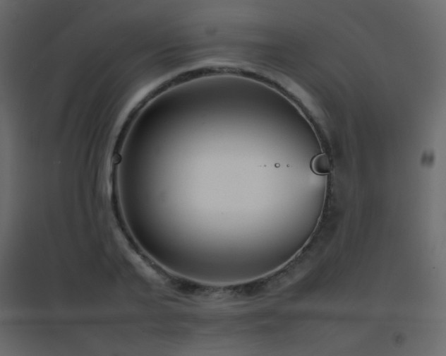 X0000096650791200802051153