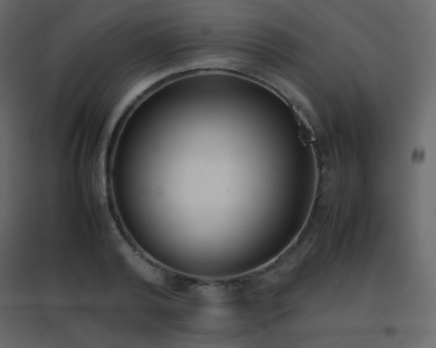 X0000096650792200802051153