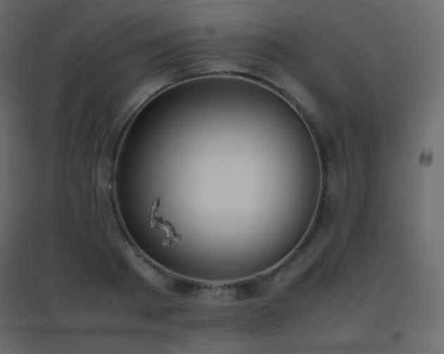 X0000096650793200802051153