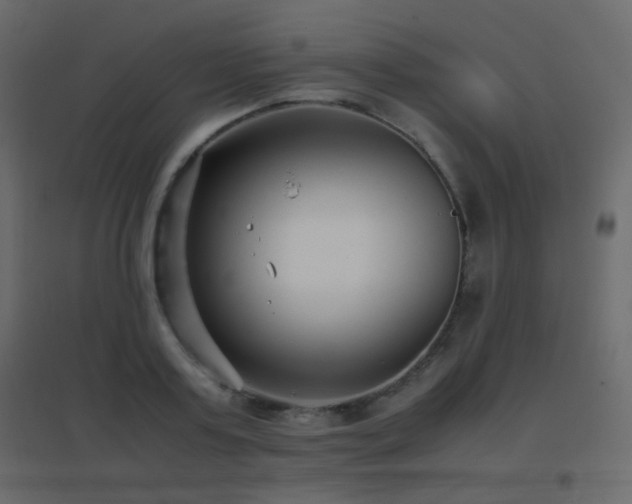 X0000096650795200802051153