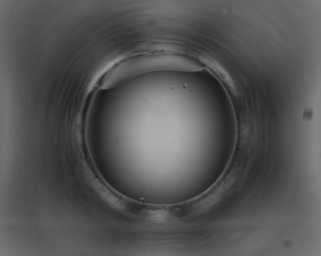 X0000096650798200802051153