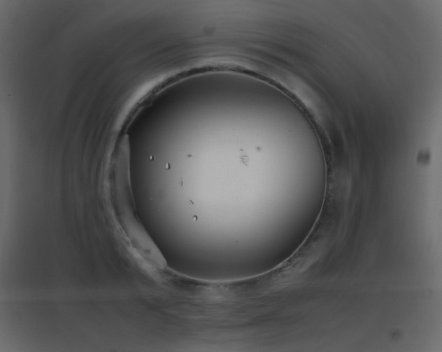 X0000096650799200802051153