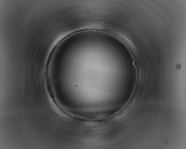X0000096650800200802051153