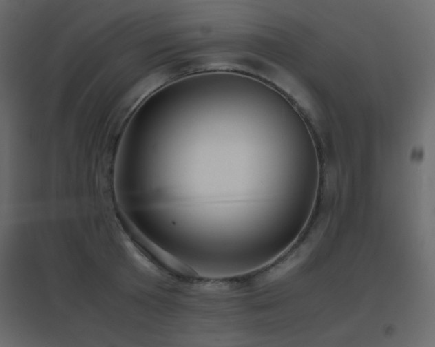 X0000096650801200802051153