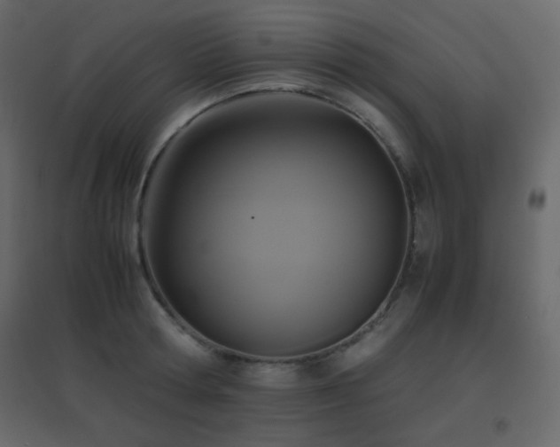 X0000096650802200802051153