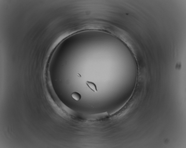 X0000096650803200802051153