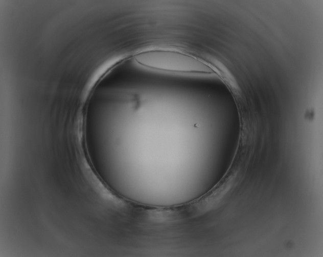 X0000096650804200802051153