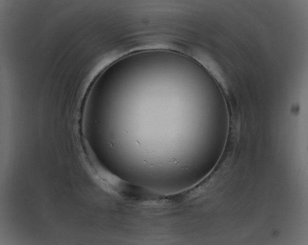 X0000096650805200802051153