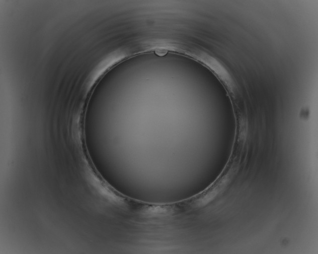 X0000096650806200802051153