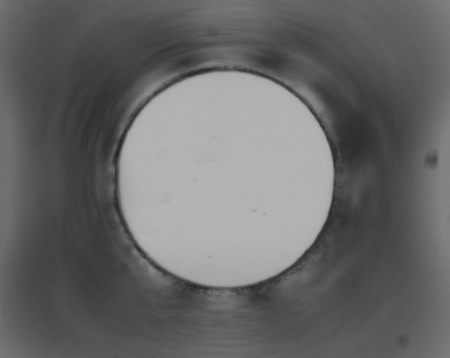 X0000096650807200802051153