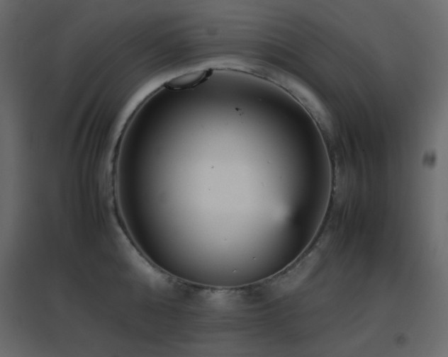 X0000096650808200802051153