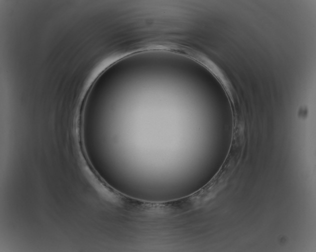 X0000096650811200802051153