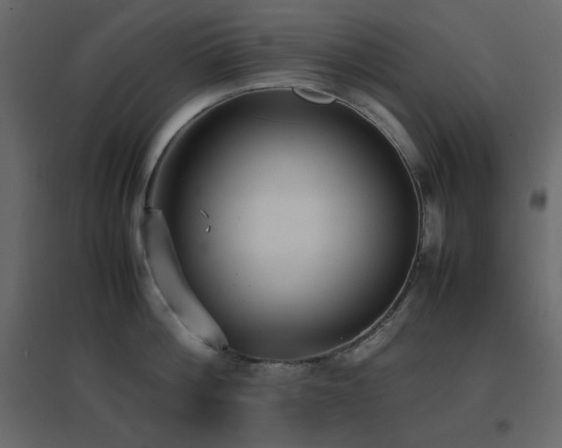 X0000096650812200802051153