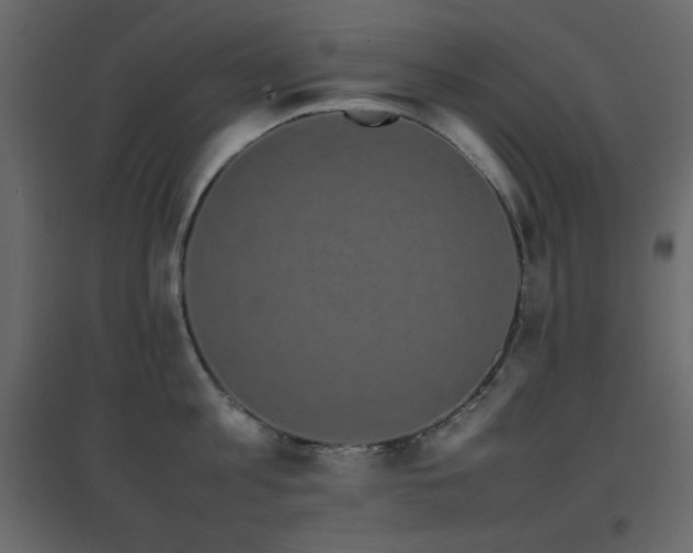 X0000096650813200802051153