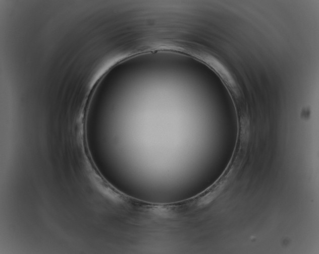 X0000096650814200802051153