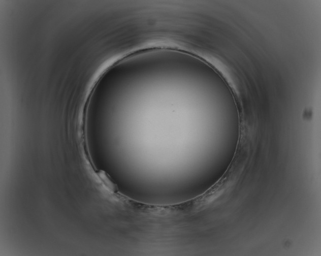X0000096650815200802051153