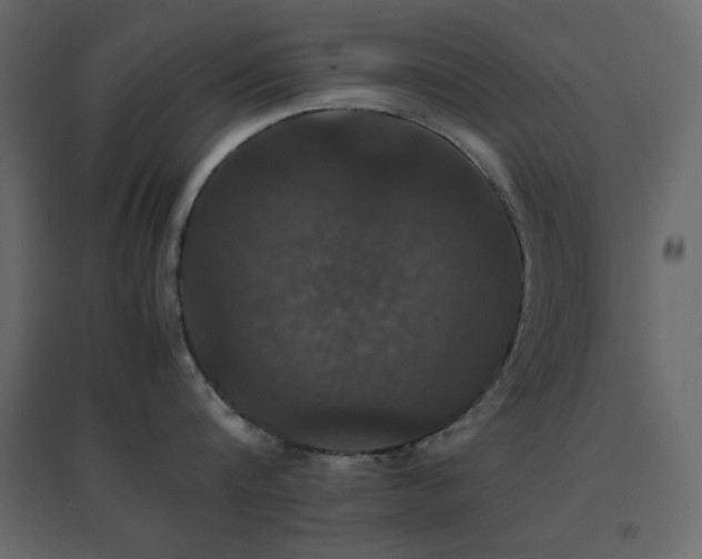 X0000096650816200802051153