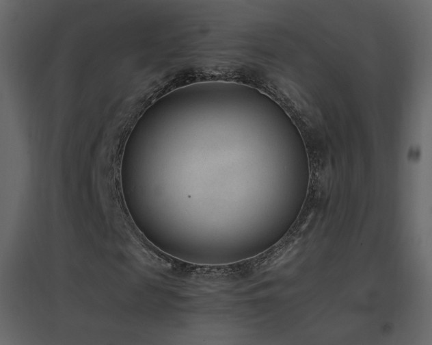 X0000096650817200802051152