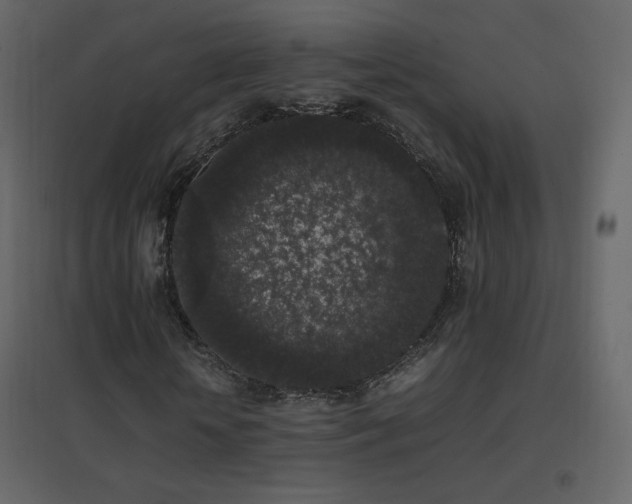 X0000096650818200802051152