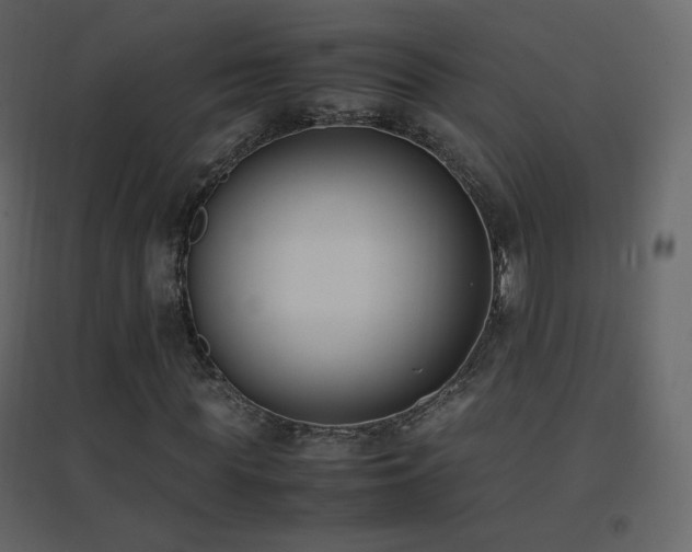 X0000096650819200802051152