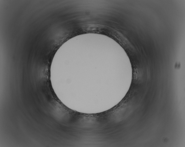 X0000096650820200802051152