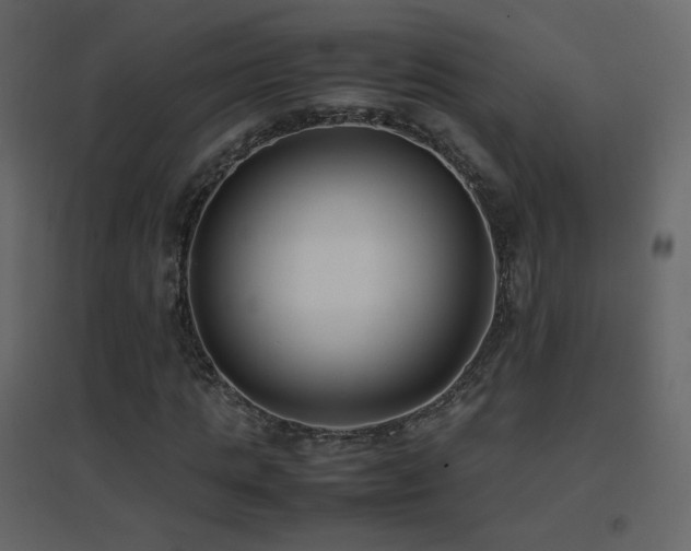 X0000096650821200802051152