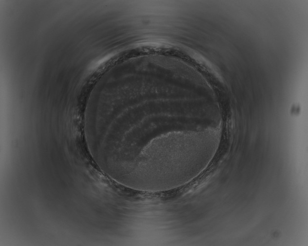 X0000096650822200802051152
