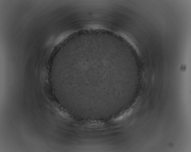 X0000096650823200802051152