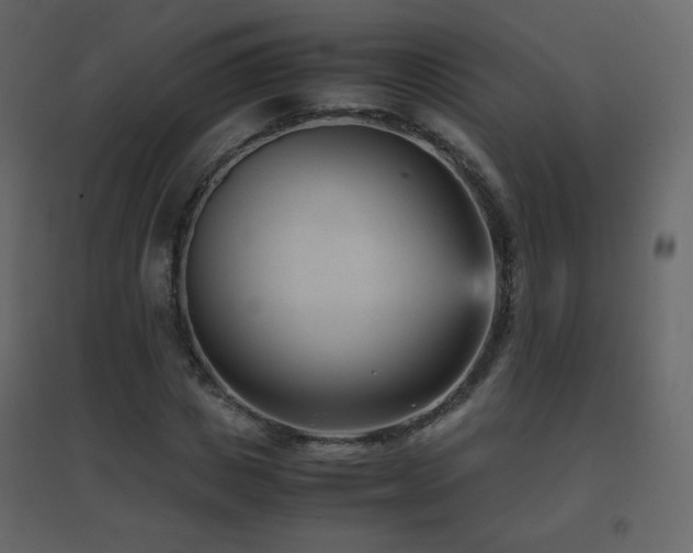 X0000096650825200802051152