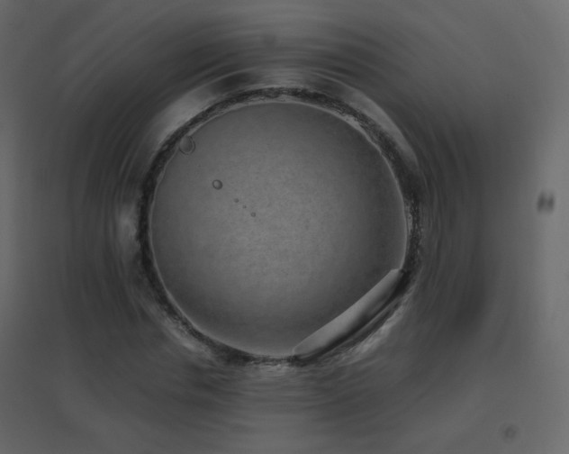 X0000096650826200802051153