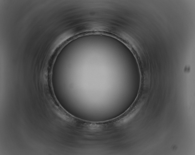 X0000096650827200802051153