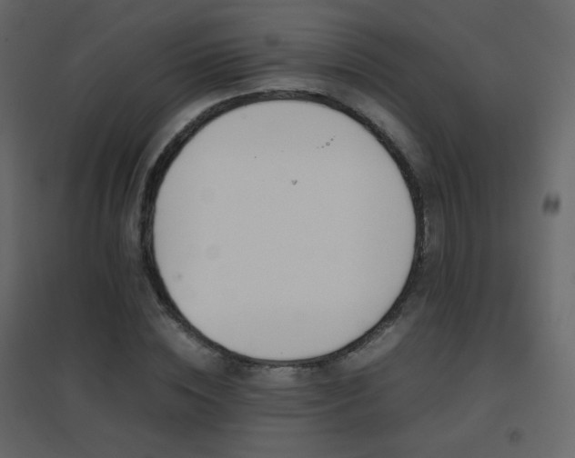 X0000096650828200802051153
