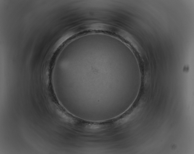 X0000096650829200802051153